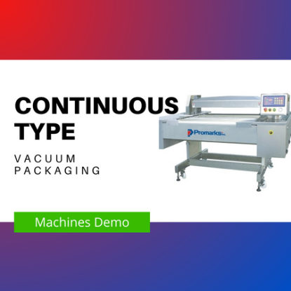 Continuous Vacuum Chamber Machine Demo Video Continuous Vacuum Chamber Machine Demo Video